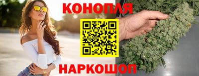 прущие крисы Лесосибирск