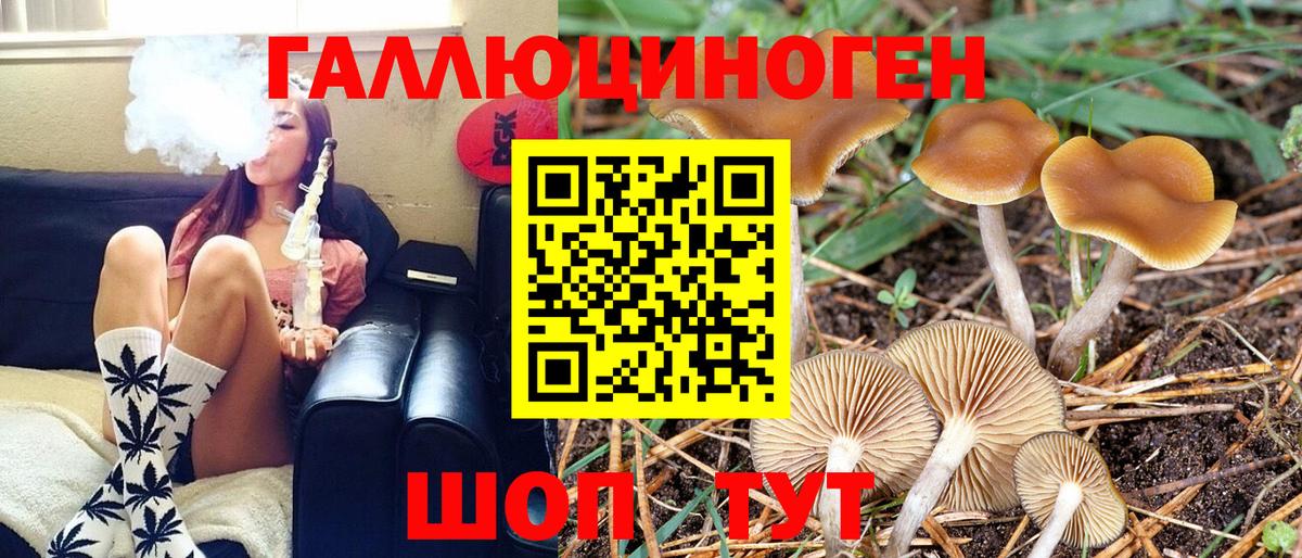 Галлюциногенные грибы мухоморы  Галлюциногенные грибы Psilocybine cubensis  Вход с VPN  Великий Устюг 