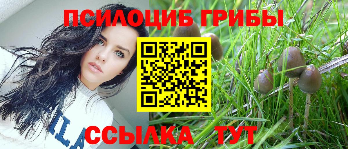 Галлюциногенные грибы мухоморы Великий Устюг
